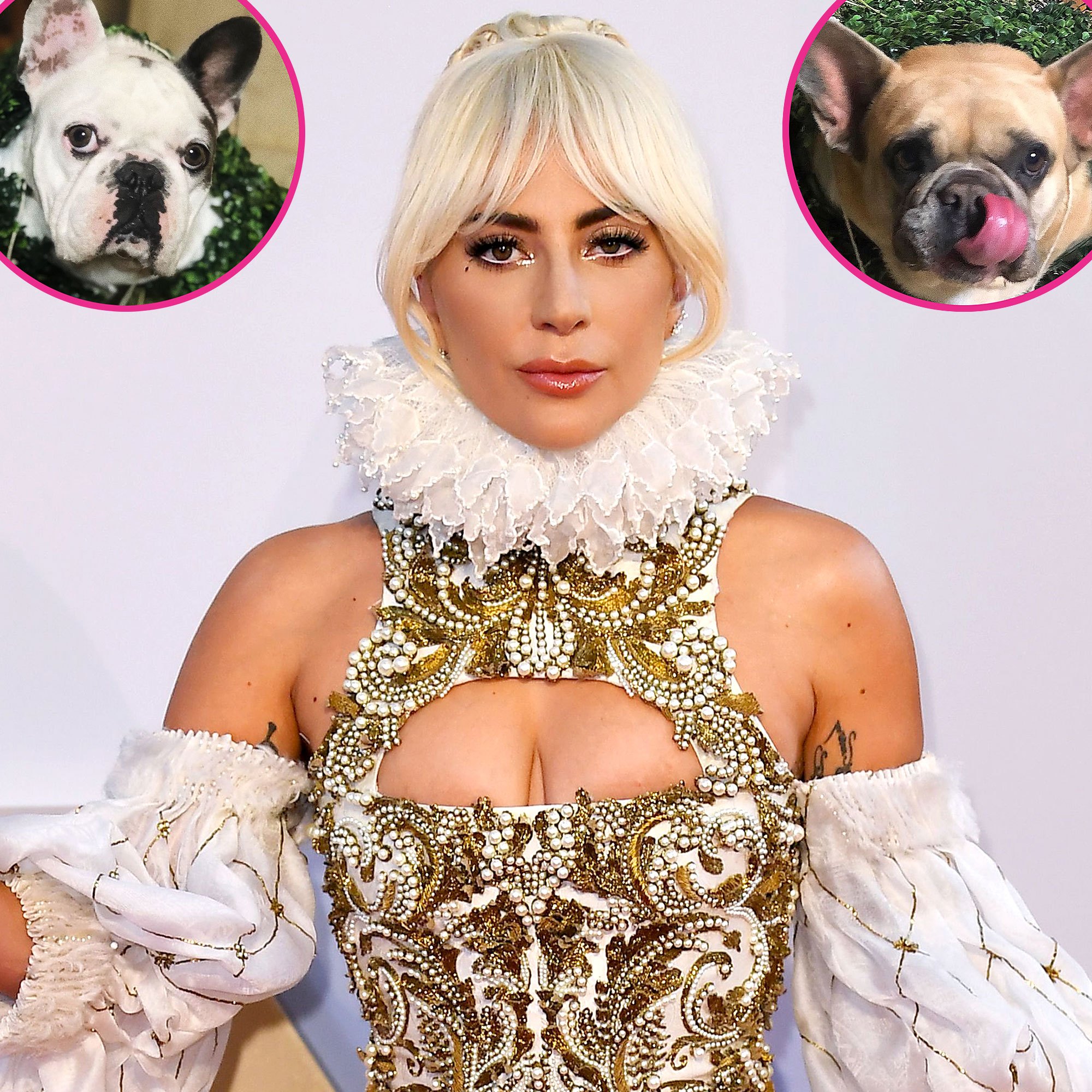Леди Гага убийство и похищение любимых собак